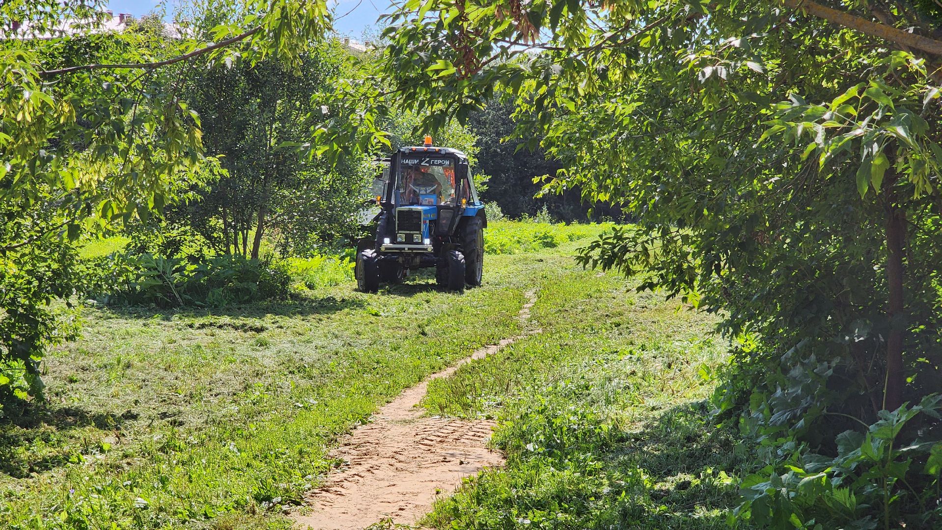 истра, подмосквье, благоустройство 2023, борщевик,