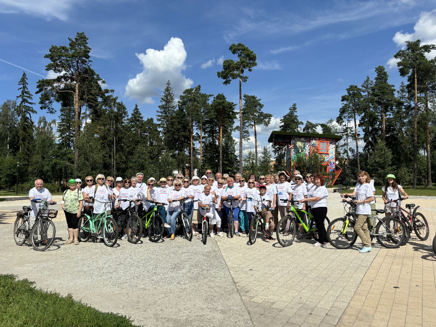 активное долголетие, танцы, велофестиваль,