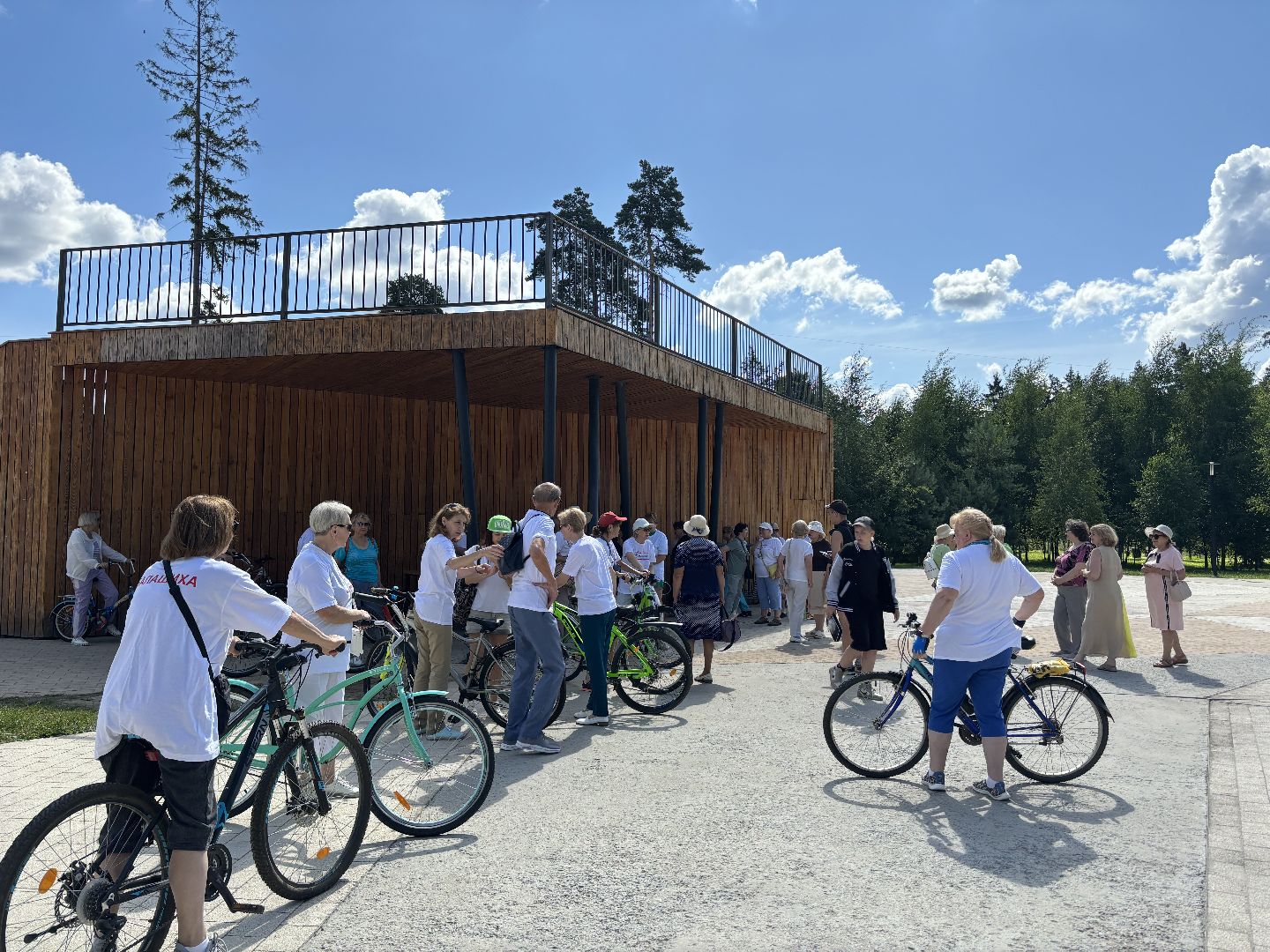 активное долголетие, танцы, велофестиваль,