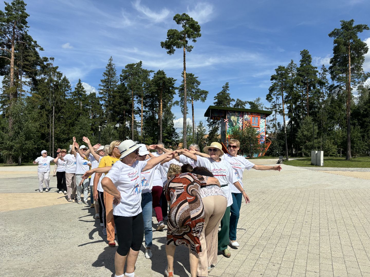 активное долголетие, танцы, велофестиваль,