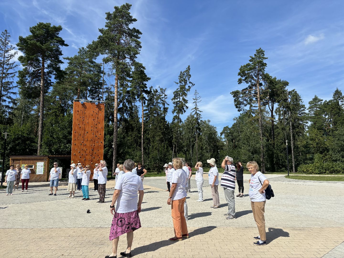 активное долголетие, танцы, велофестиваль,