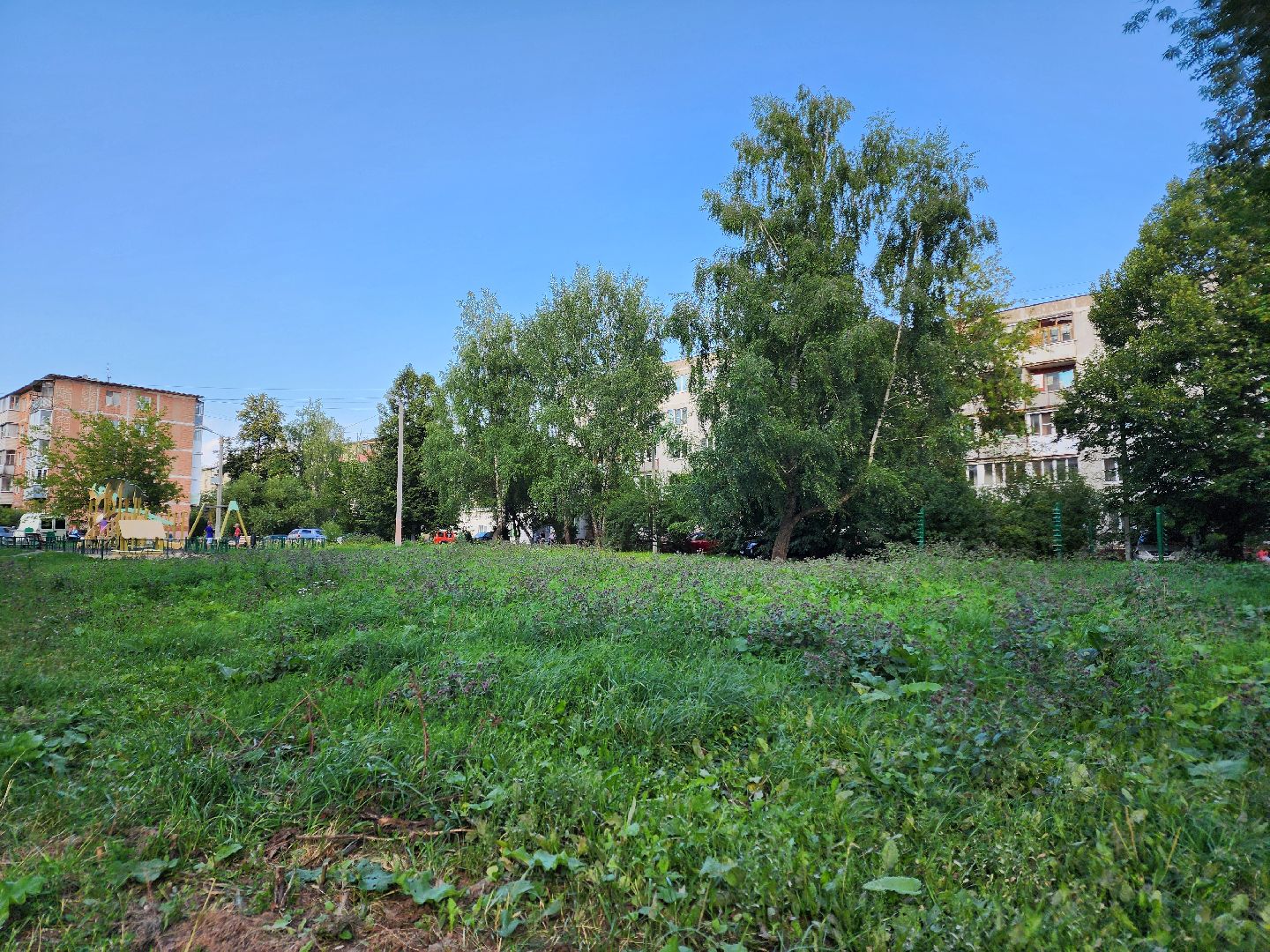 Чехов, микрорайон Венюково, улица Гагарина, содержание территорий, проверка, контроль, глава округа Михаил Собакин,