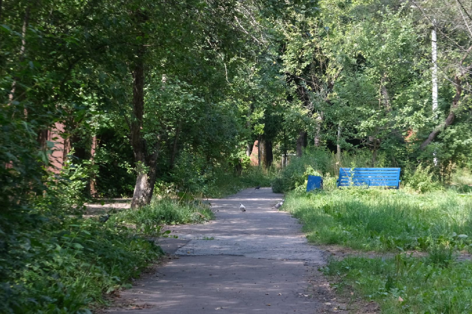 пущино, серпухов, выездная администрация,