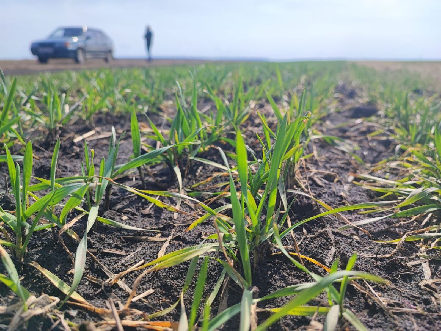 Серебряные Пруды, жидкие удобрения, сельское хозяйство
