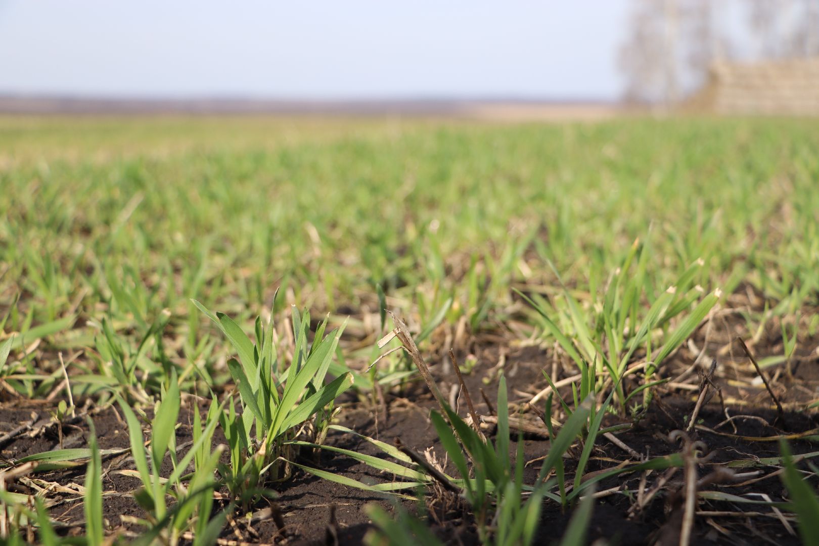 Серебряные Пруды, жидкие удобрения, сельское хозяйство