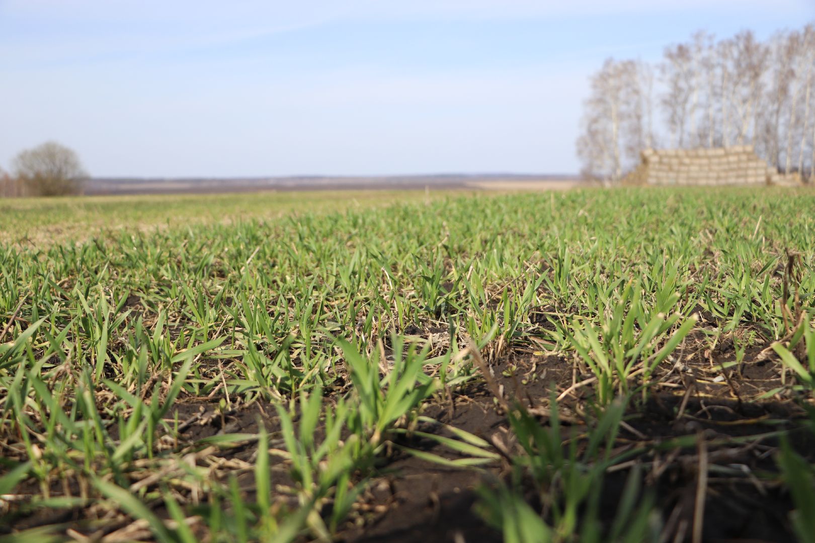 Серебряные Пруды, жидкие удобрения, сельское хозяйство