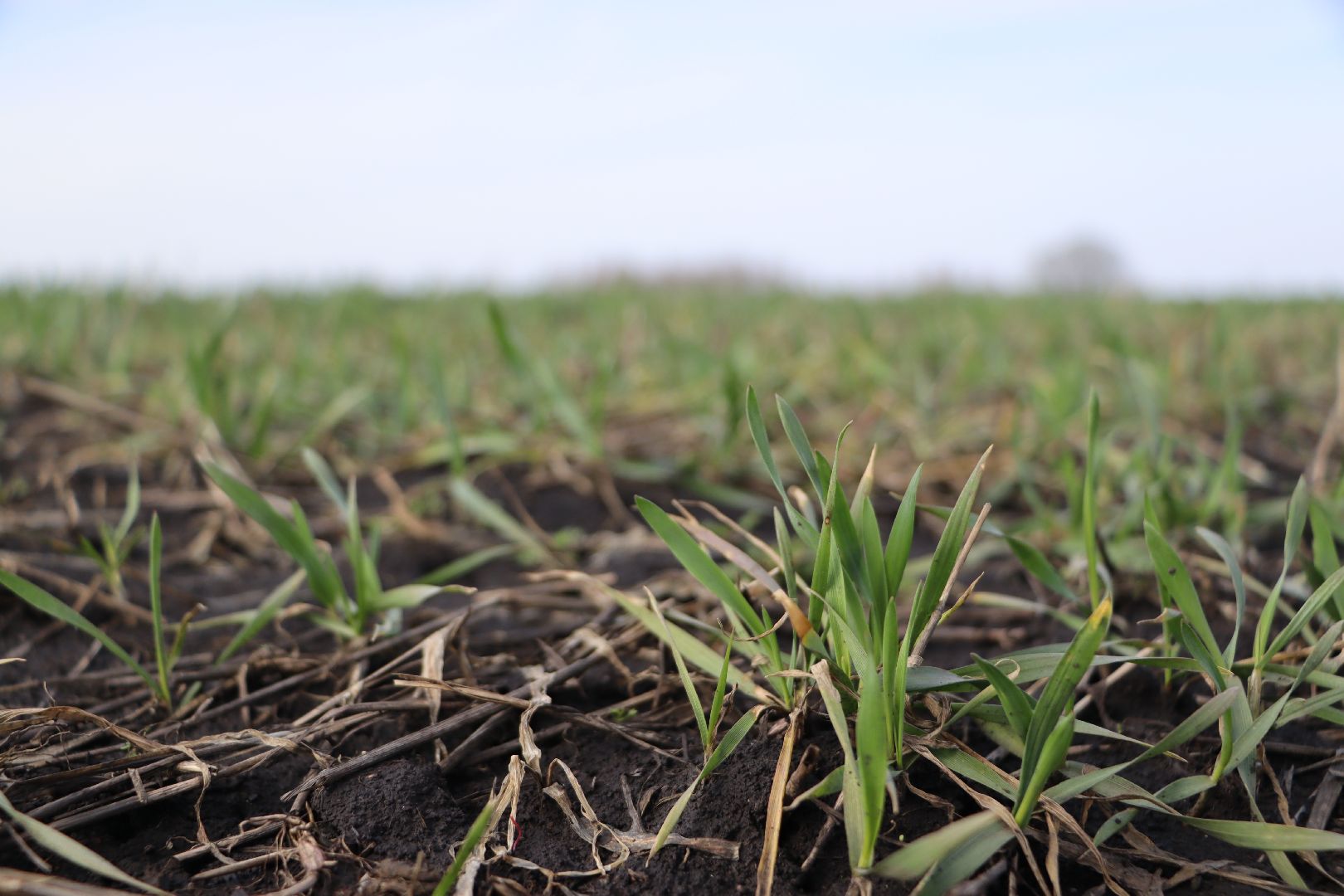 Серебряные Пруды, жидкие удобрения, сельское хозяйство