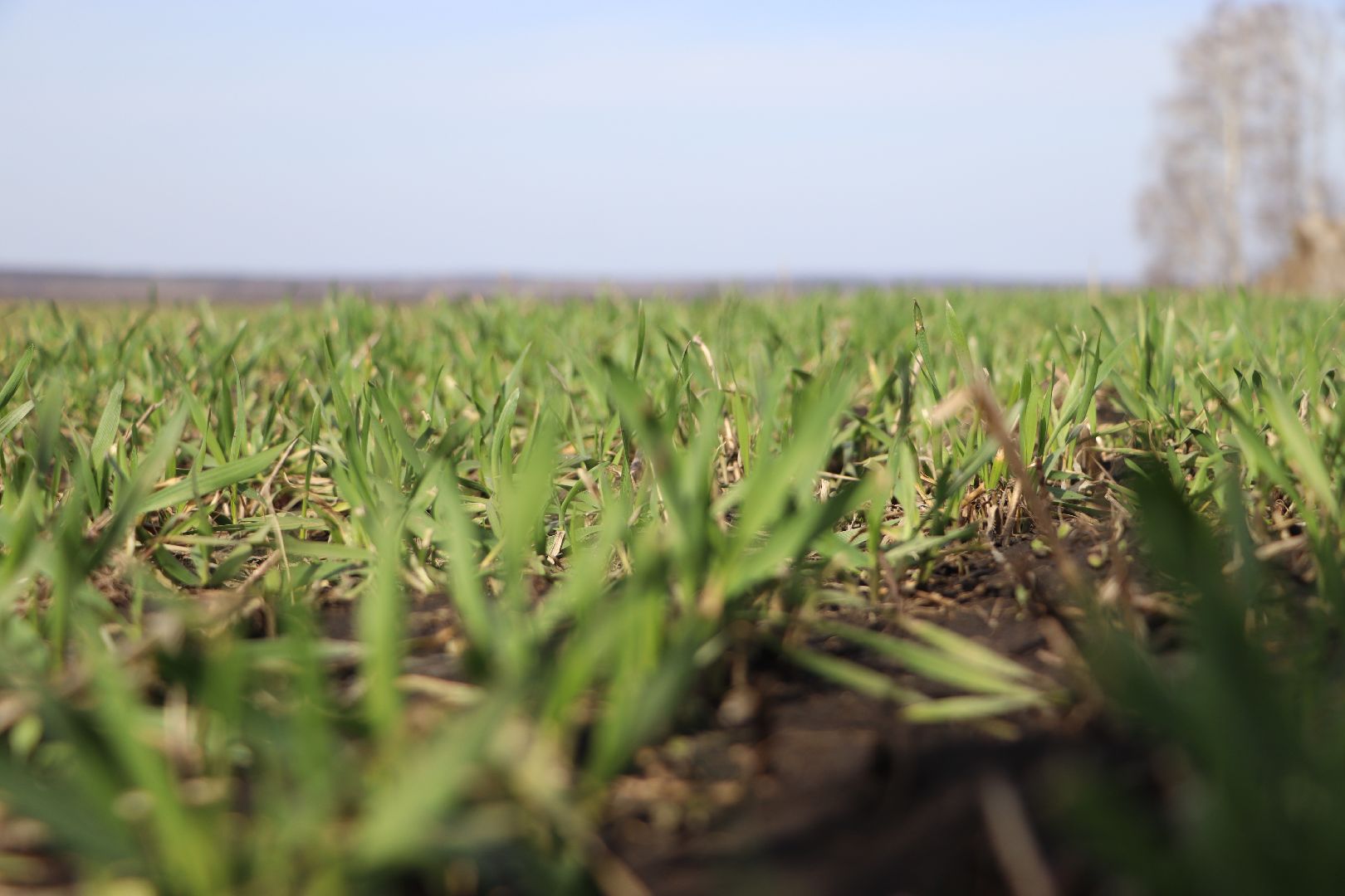 Серебряные Пруды, жидкие удобрения, сельское хозяйство