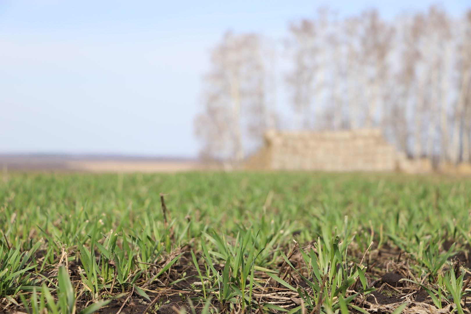 Серебряные Пруды, жидкие удобрения, сельское хозяйство