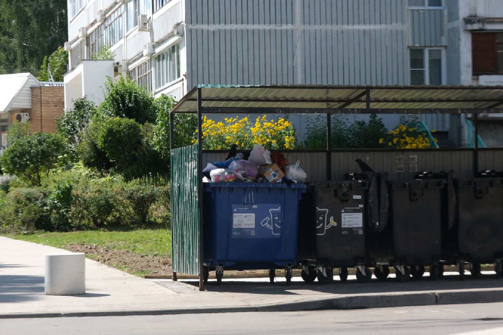 пущино, серпухов, благоустройство, национальные проекты,