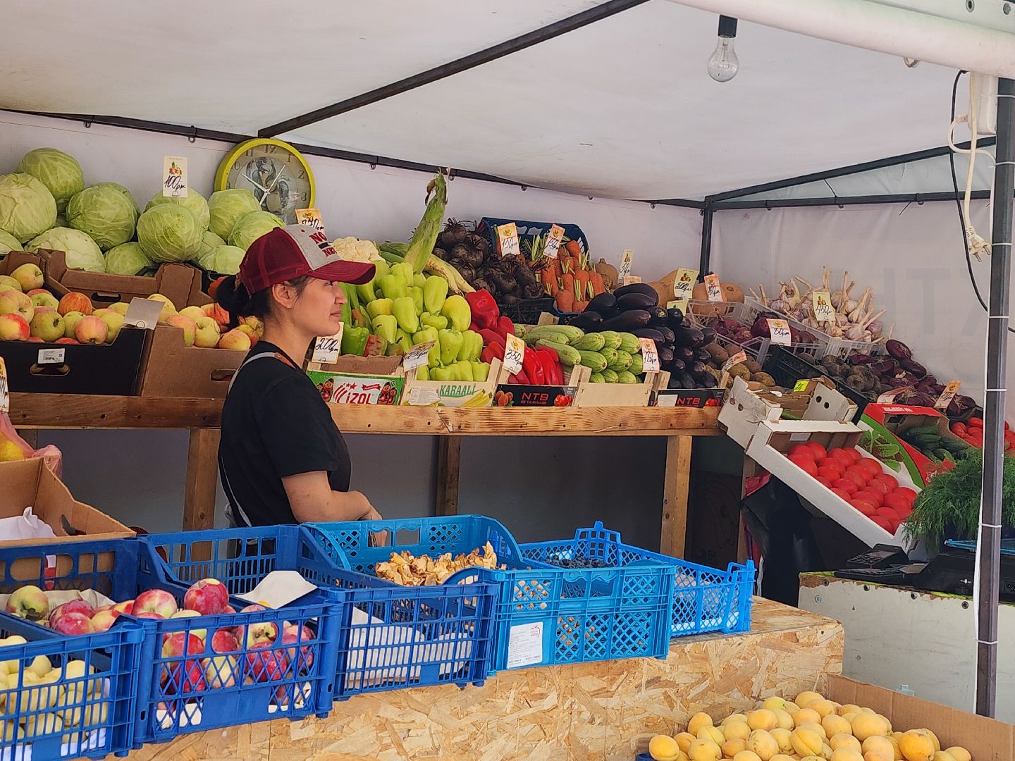 торговые объекты, торговля, мытищи,