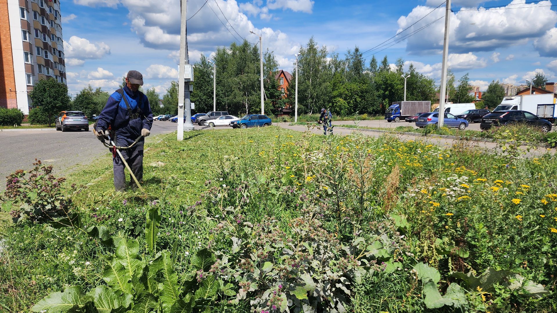 благоустройсво, Домодедово, Подмосковье, Благоустройство, покос травы, Уборка мусора, управляющая компания, коммунальная служба,