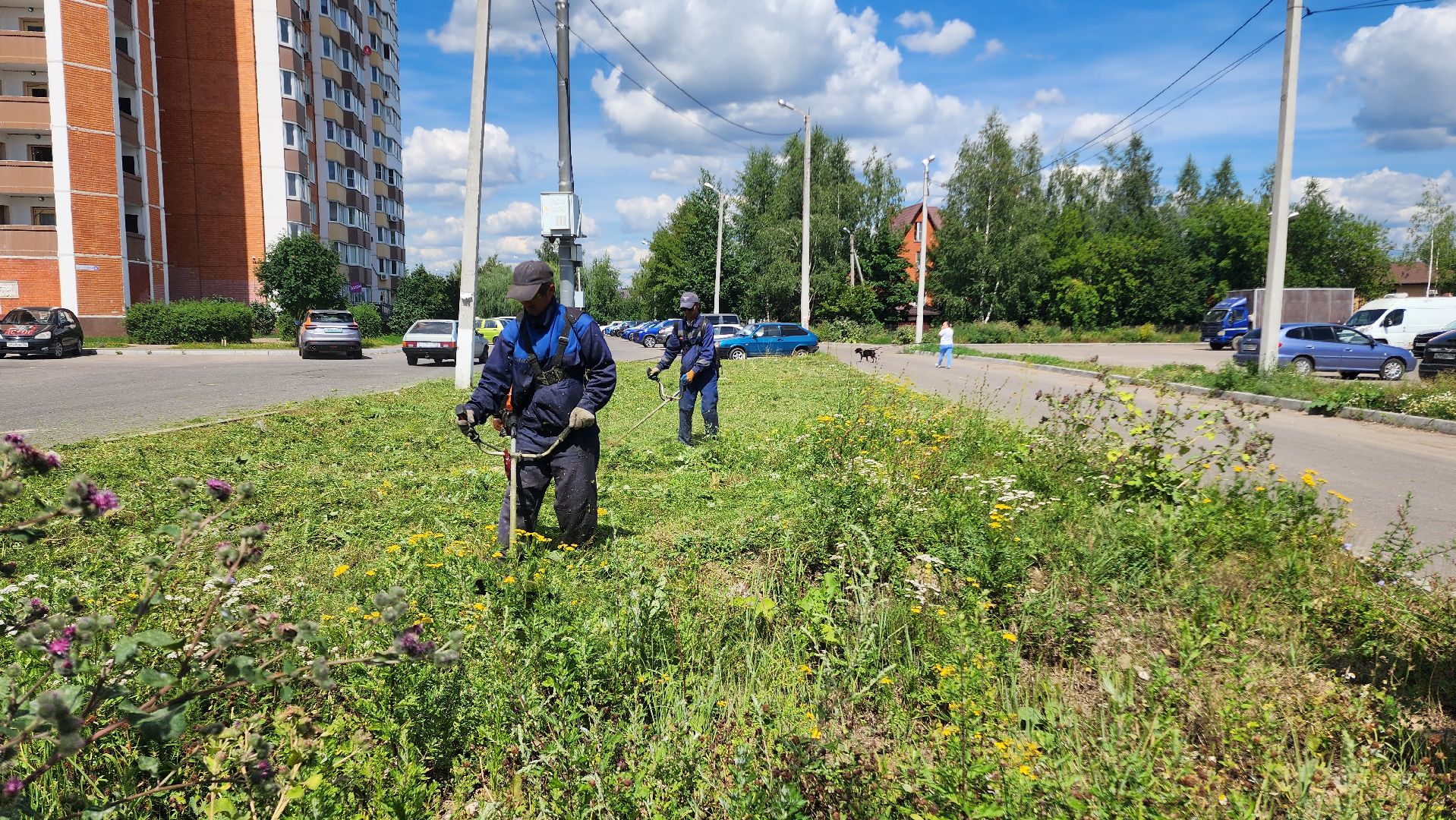 благоустройсво, Домодедово, Подмосковье, Благоустройство, покос травы, Уборка мусора, управляющая компания, коммунальная служба,