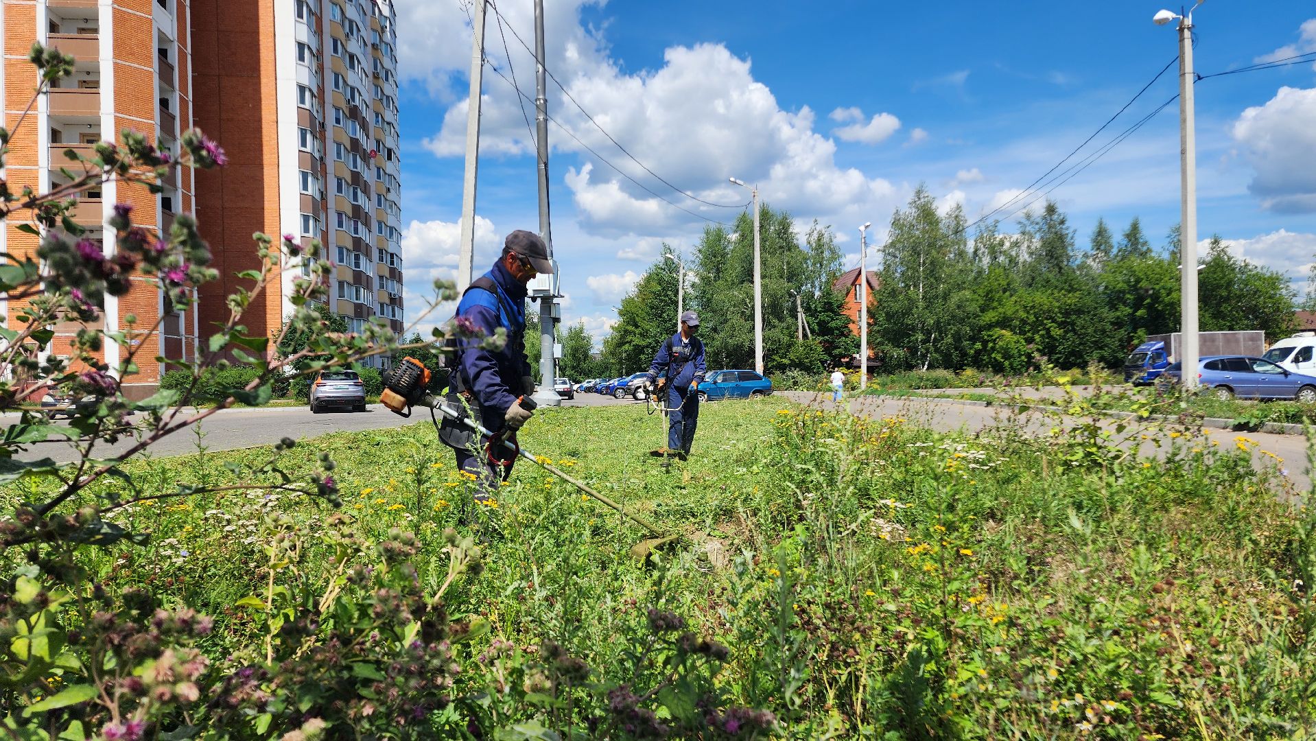благоустройсво, Домодедово, Подмосковье, Благоустройство, покос травы, Уборка мусора, управляющая компания, коммунальная служба,
