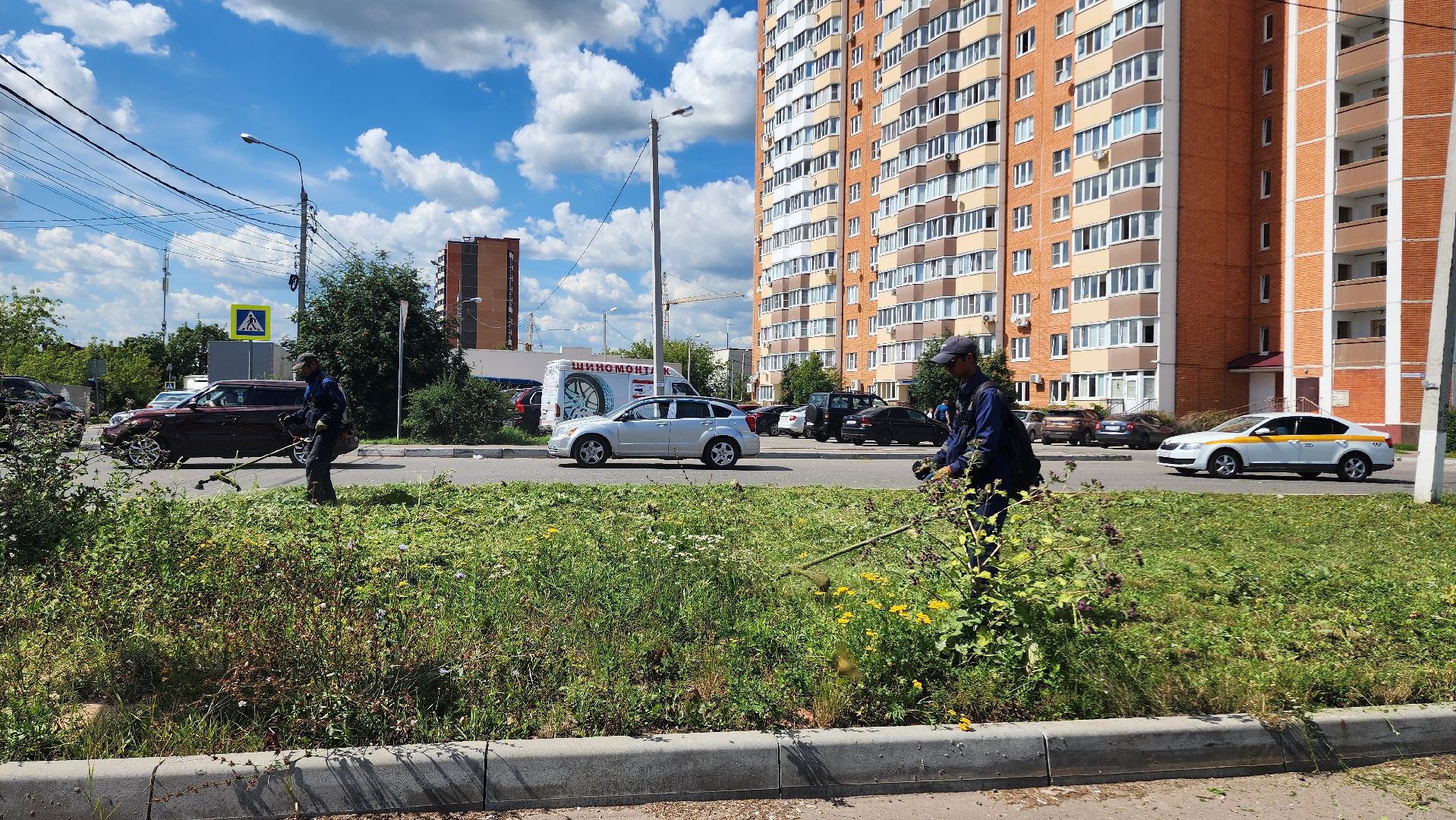 благоустройсво, Домодедово, Подмосковье, Благоустройство, покос травы, Уборка мусора, управляющая компания, коммунальная служба,