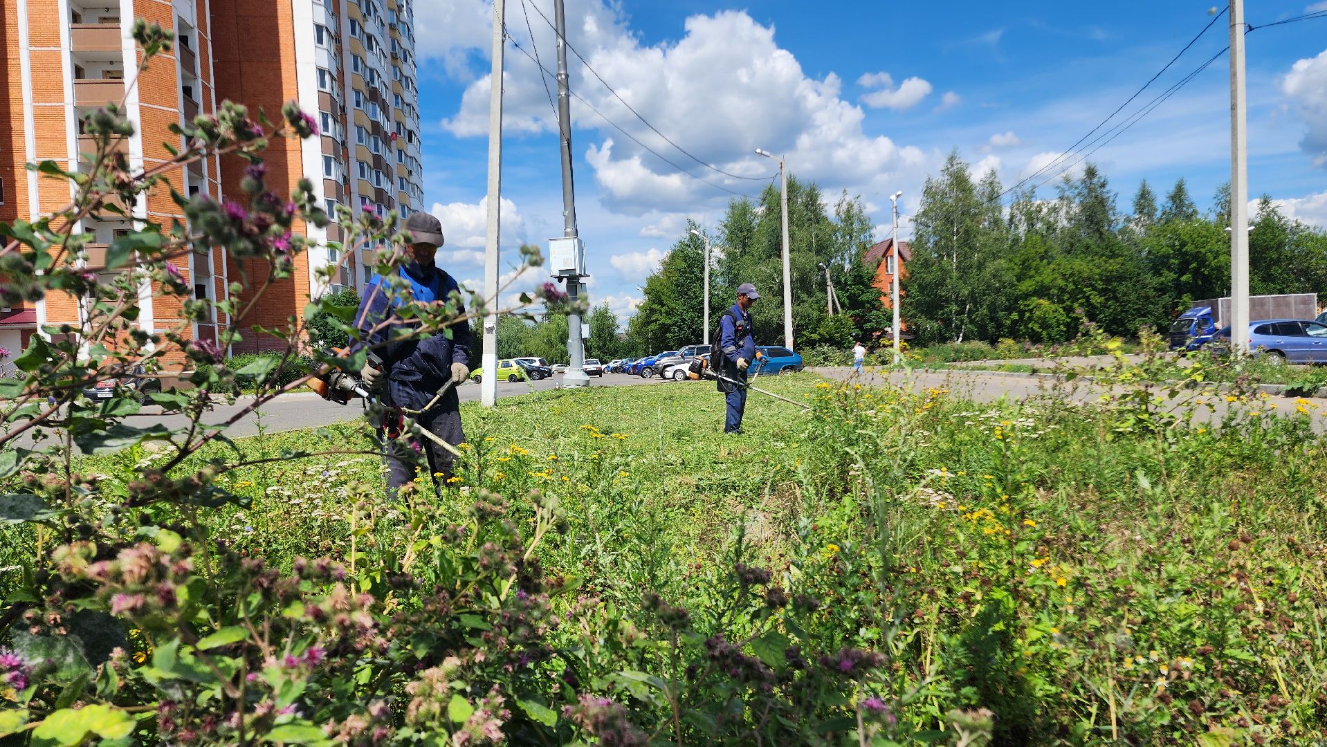 благоустройсво, Домодедово, Подмосковье, Благоустройство, покос травы, Уборка мусора, управляющая компания, коммунальная служба,