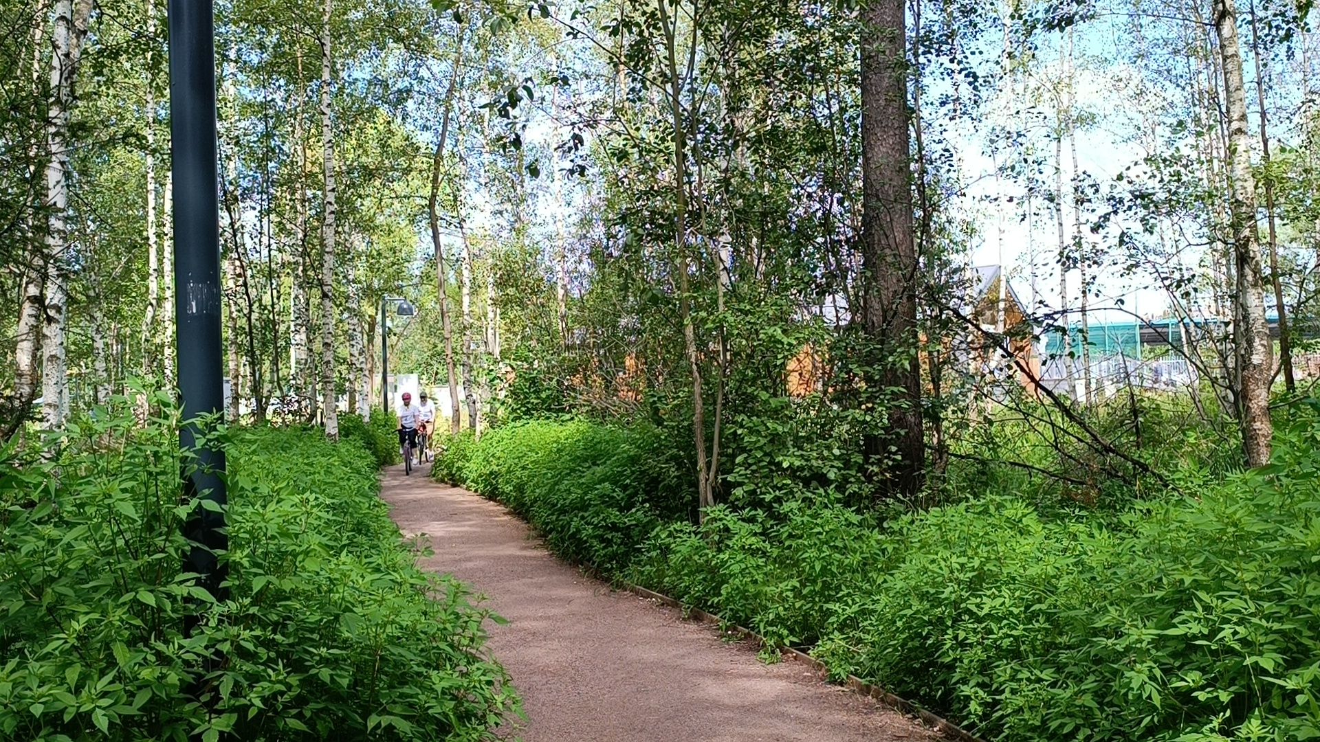 велосипед, активное долголетие, лобня,