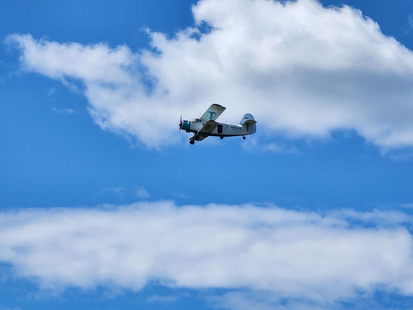 можайск, можайский городской округ, подмосковье, день парашютиста, активисты, экскурсия, рузский городской округ, аэродром, парашютный спорт,