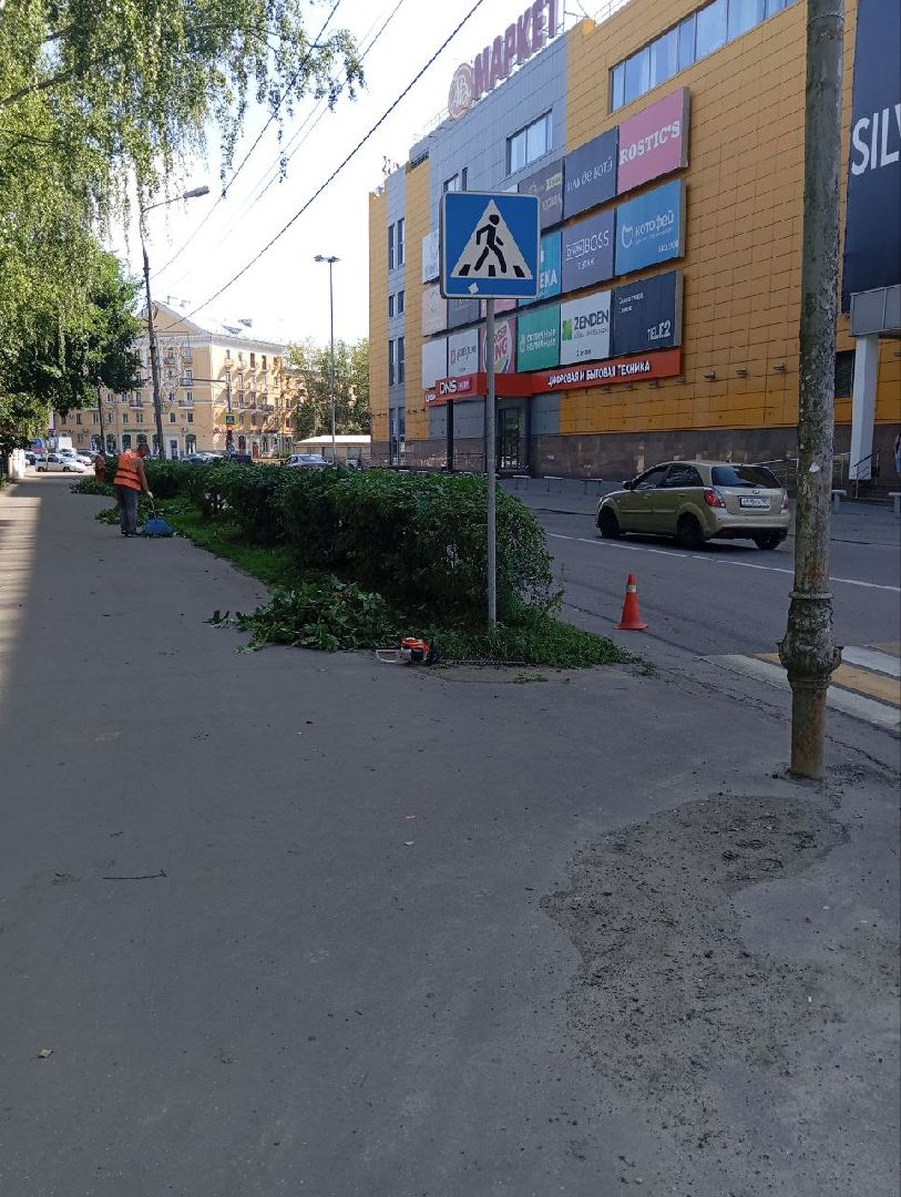 жкх, воскресенск, растения,