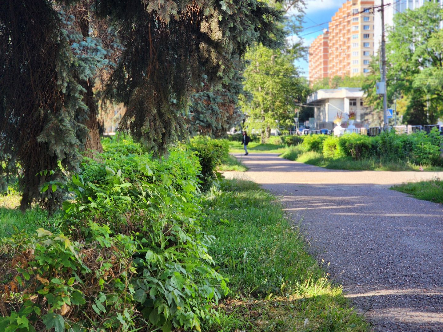 жкх, воскресенск, растения,