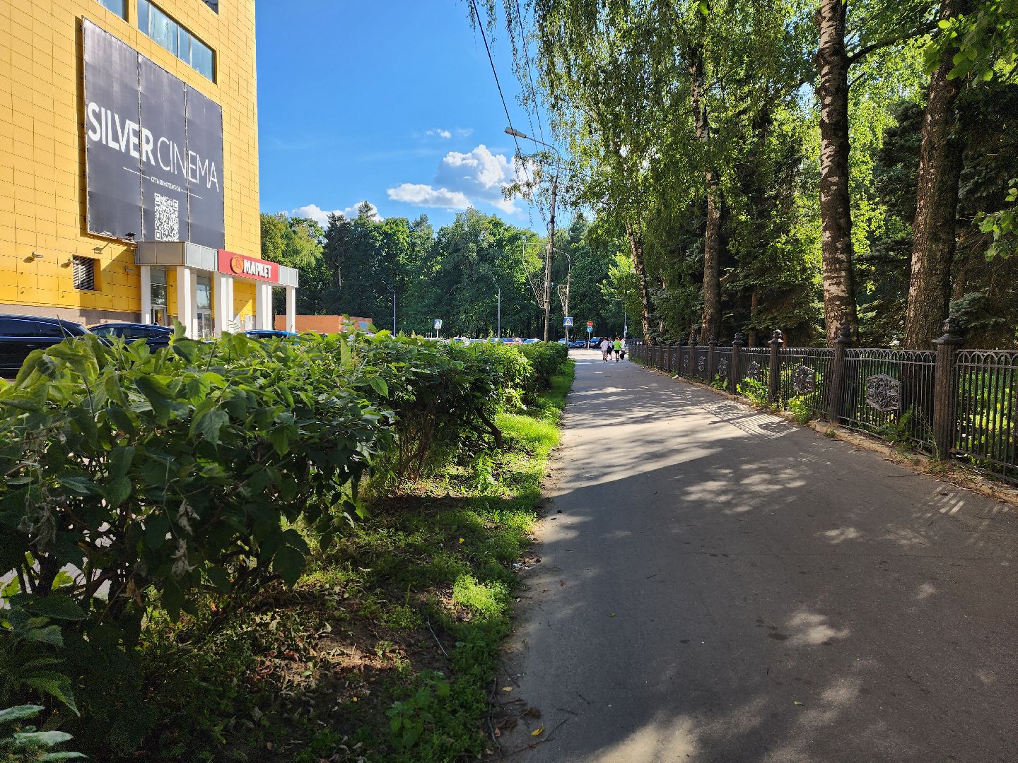 жкх, воскресенск, растения,