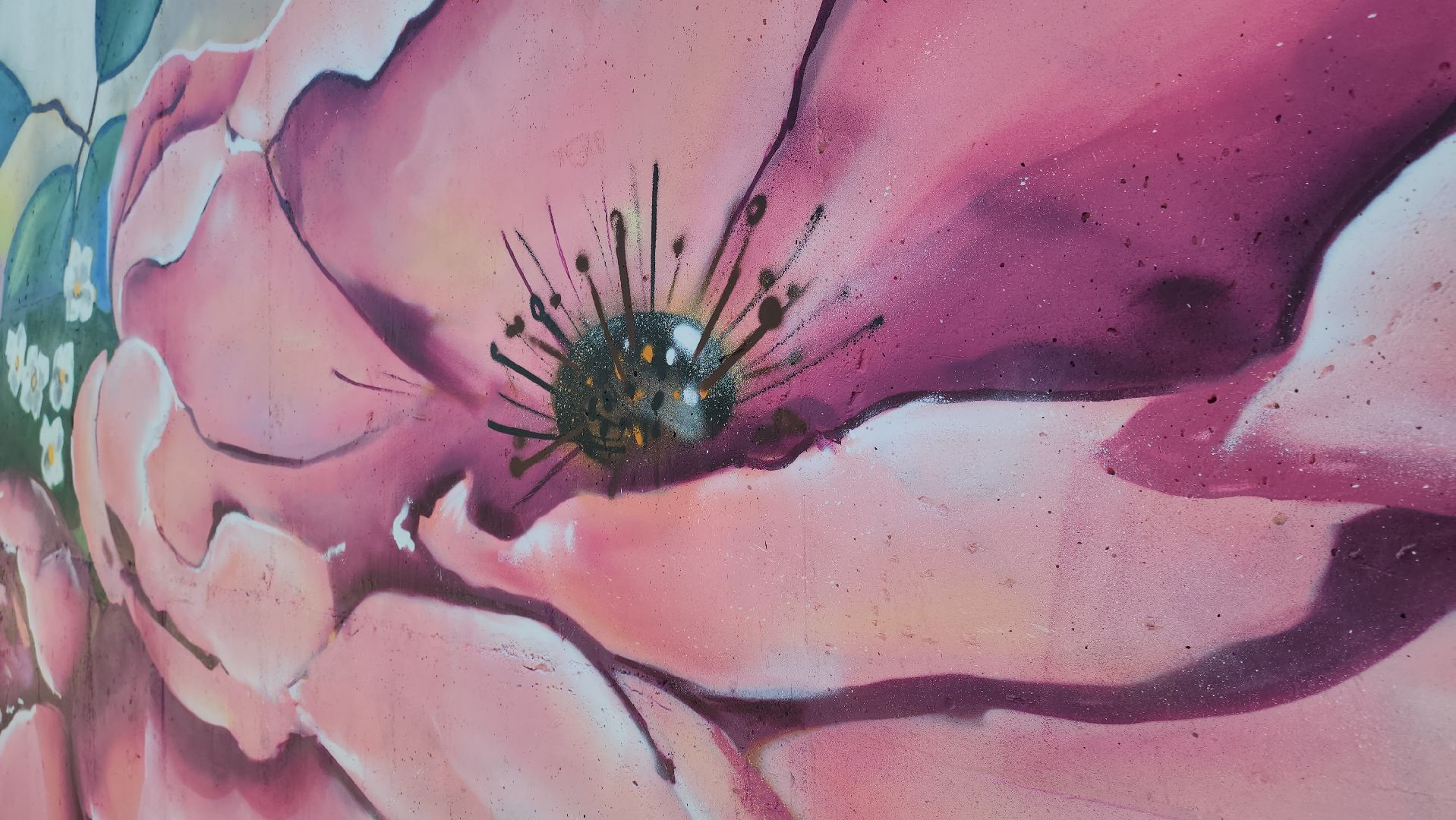 кашира, граффити, стрит-арт, художник, набережная оки, день города, цветы, благоустройство,