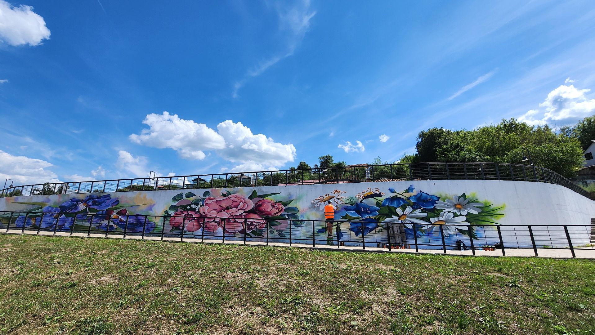 кашира, граффити, стрит-арт, художник, набережная оки, день города, цветы, благоустройство,