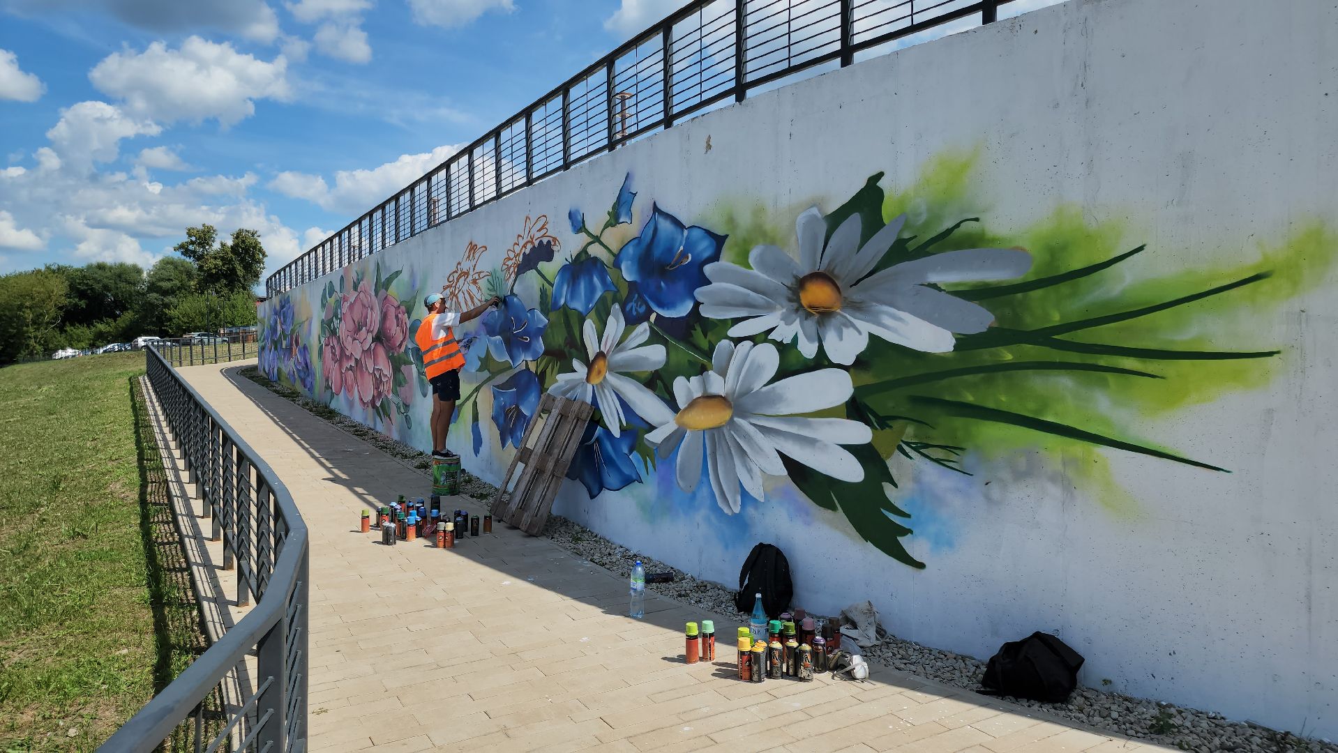 кашира, граффити, стрит-арт, художник, набережная оки, день города, цветы, благоустройство,