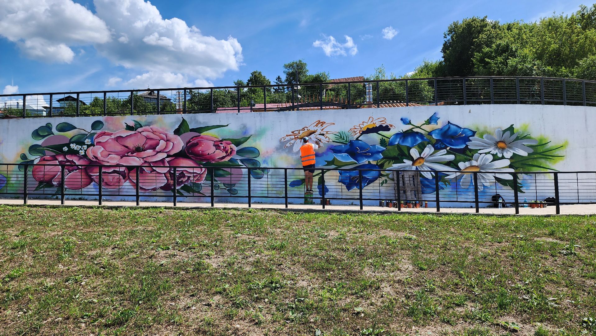 кашира, граффити, стрит-арт, художник, набережная оки, день города, цветы, благоустройство,