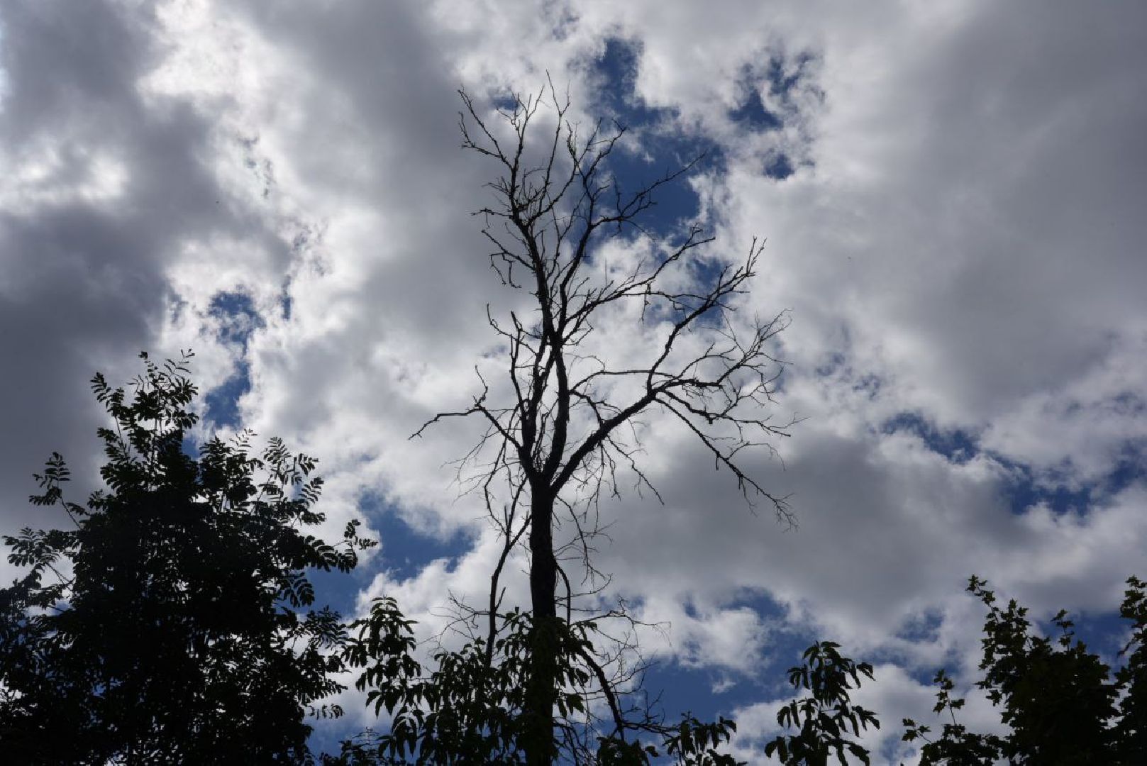 Опиловка, Благоустройство, Сергиев Посад,