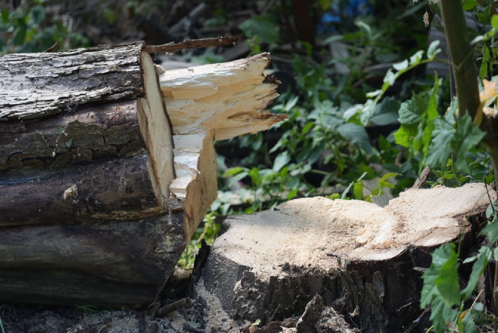 Опиловка, Благоустройство, Сергиев Посад,