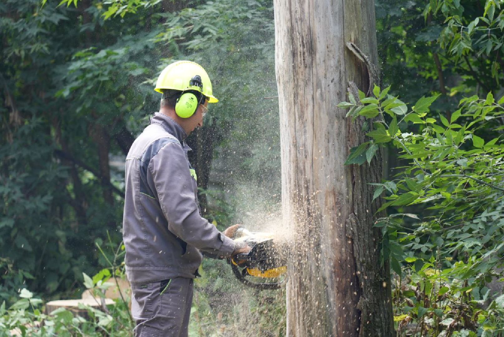 Опиловка, Благоустройство, Сергиев Посад,