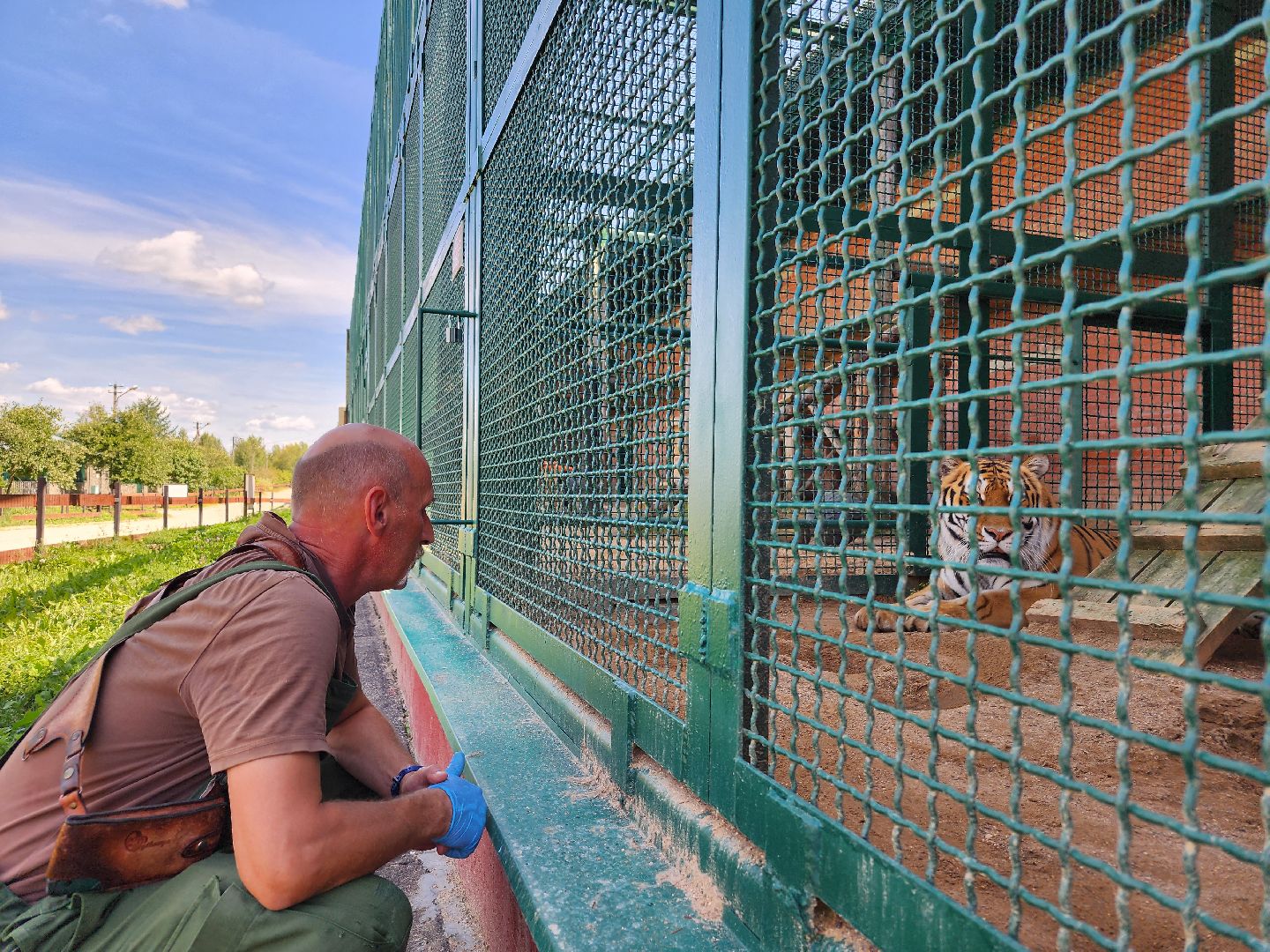 День тигра, волоколамск, Сохранение животных,