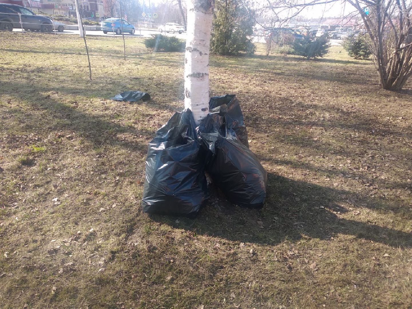 Дмитров, Субботник, Министерство ЖКХ Московской области