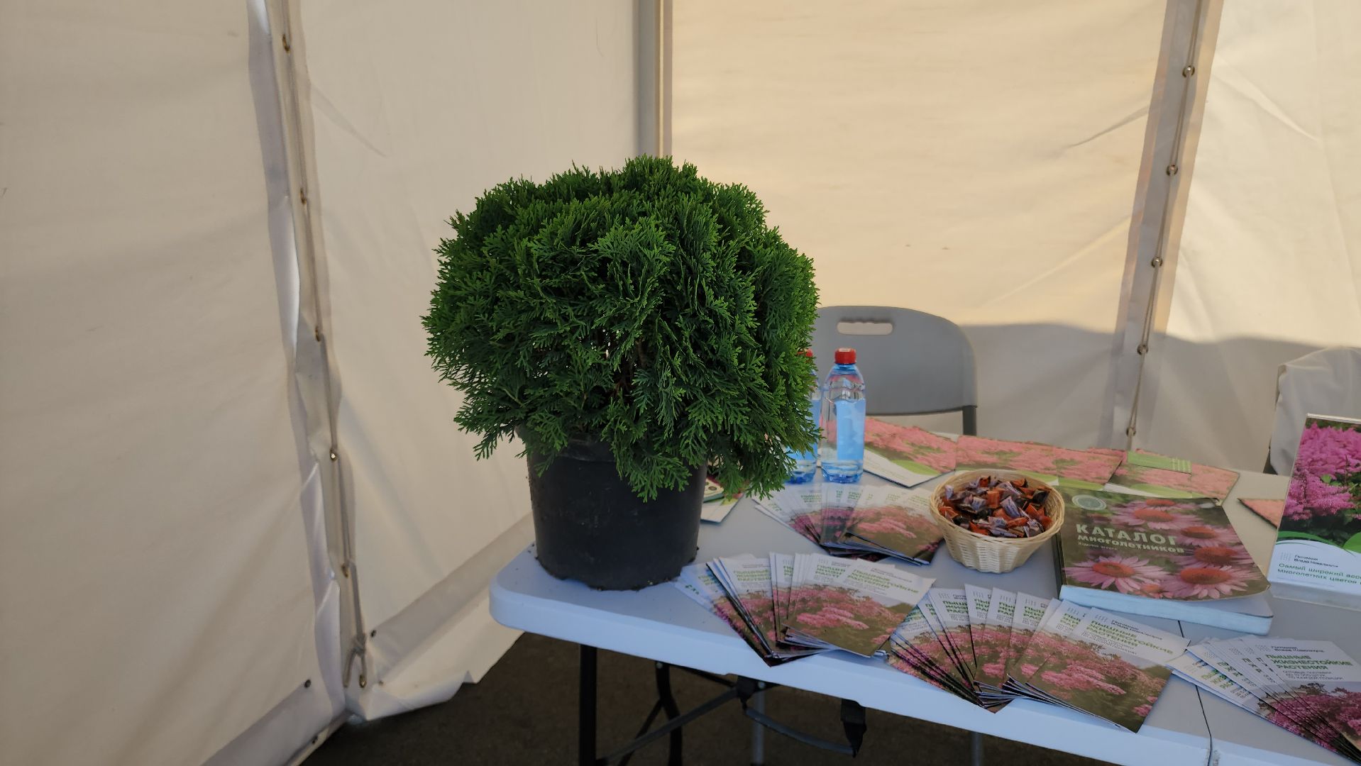 кашира, день города, ярмарка, гофрон, тепофол, черкизово, деревянная сова, банты, украшения, живая статуя,