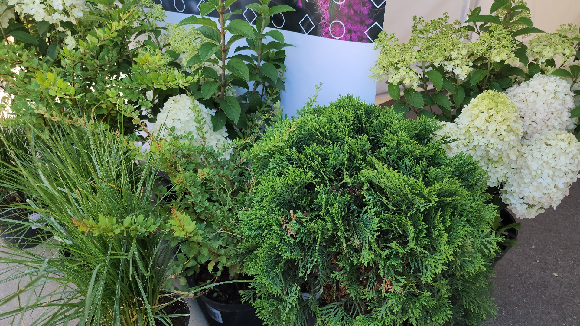 кашира, день города, ярмарка, гофрон, тепофол, черкизово, деревянная сова, банты, украшения, живая статуя,