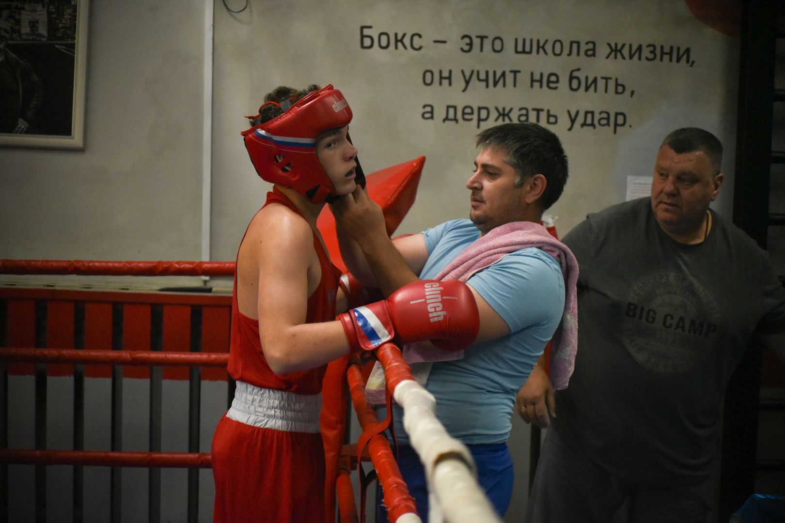 Бронницы, Турнир по боксу, Бокс в Бронницах,