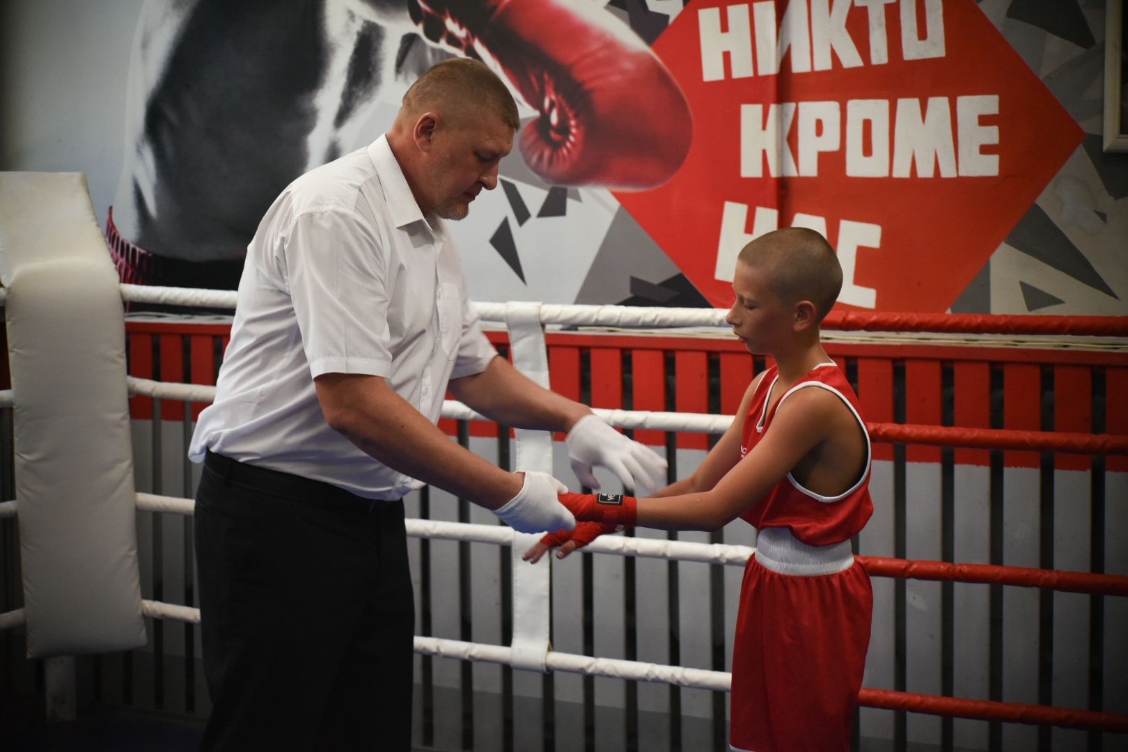 Бронницы, Турнир по боксу, Бокс в Бронницах,