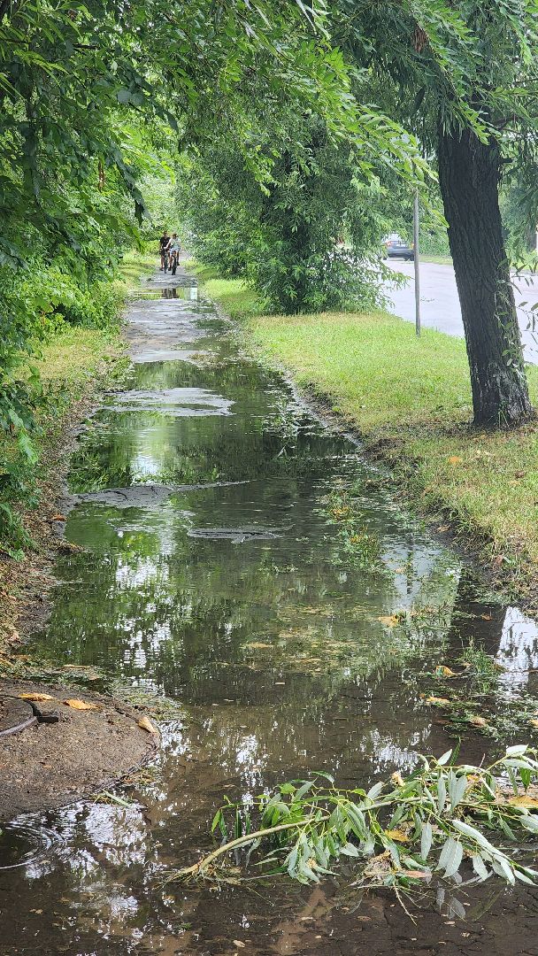 ураган, ливень, Рошаль, Большая Шатура, устранение последствий, служба дорожного хозяйства и благоустройства,
