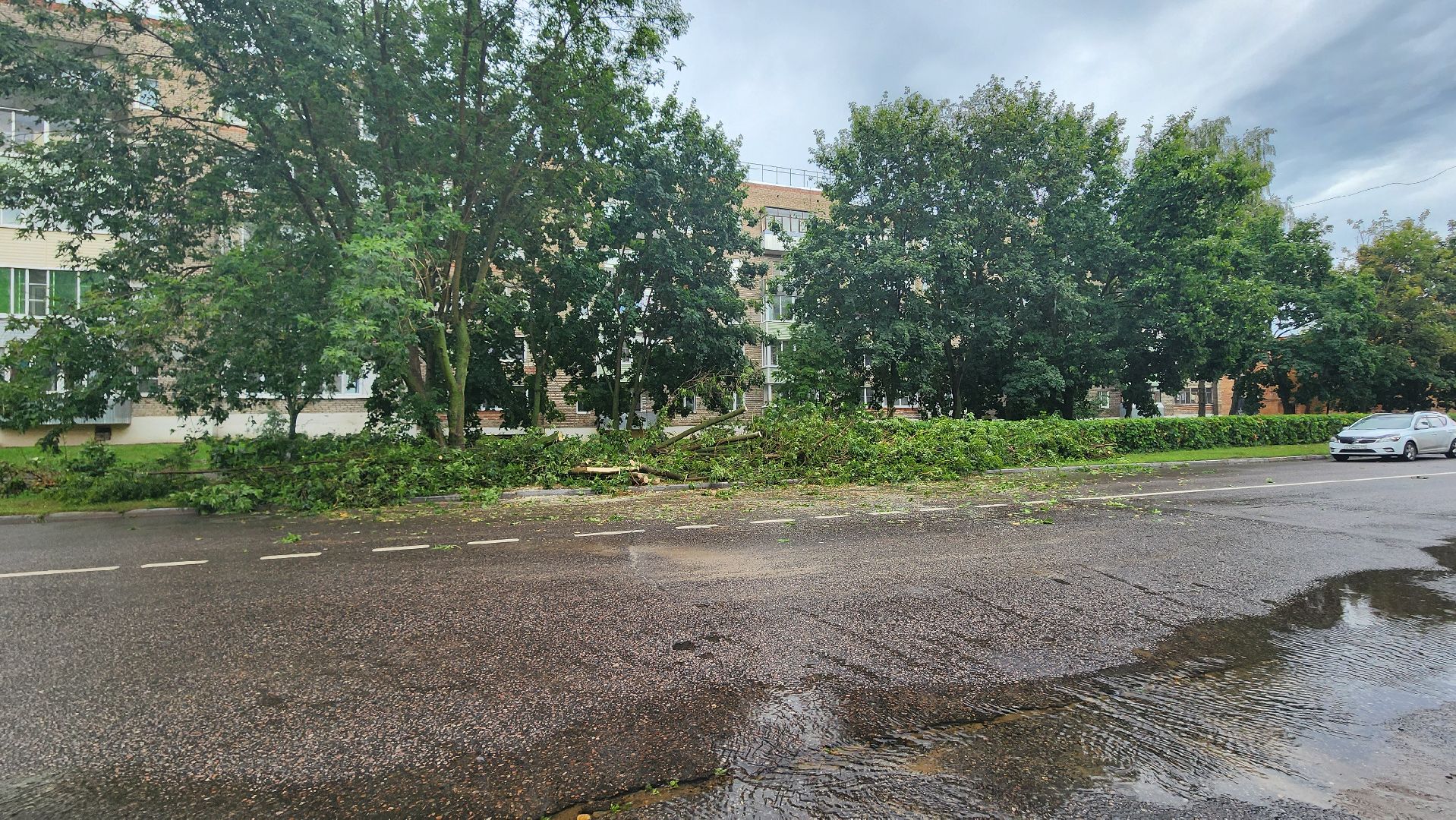 ураган, ливень, Рошаль, Большая Шатура, устранение последствий, служба дорожного хозяйства и благоустройства,