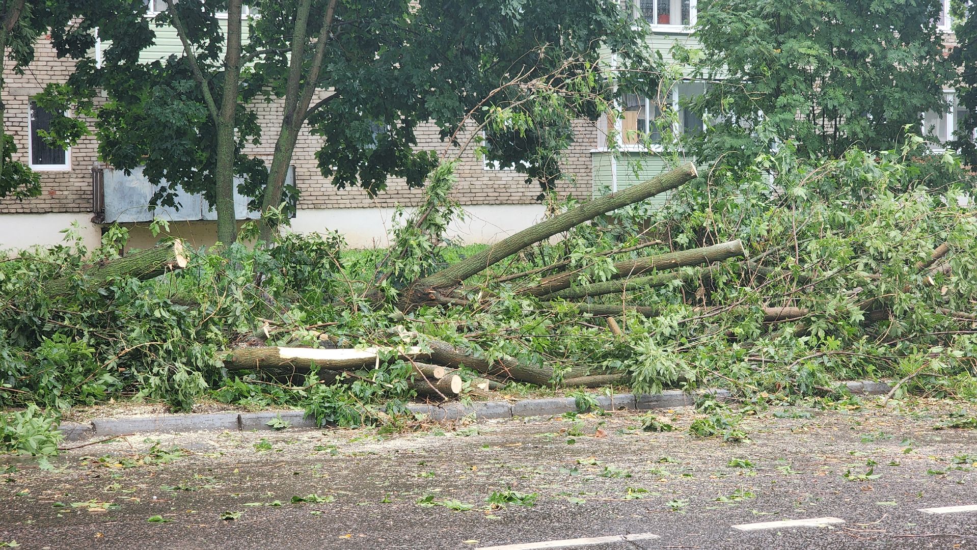 ураган, ливень, Рошаль, Большая Шатура, устранение последствий, служба дорожного хозяйства и благоустройства,