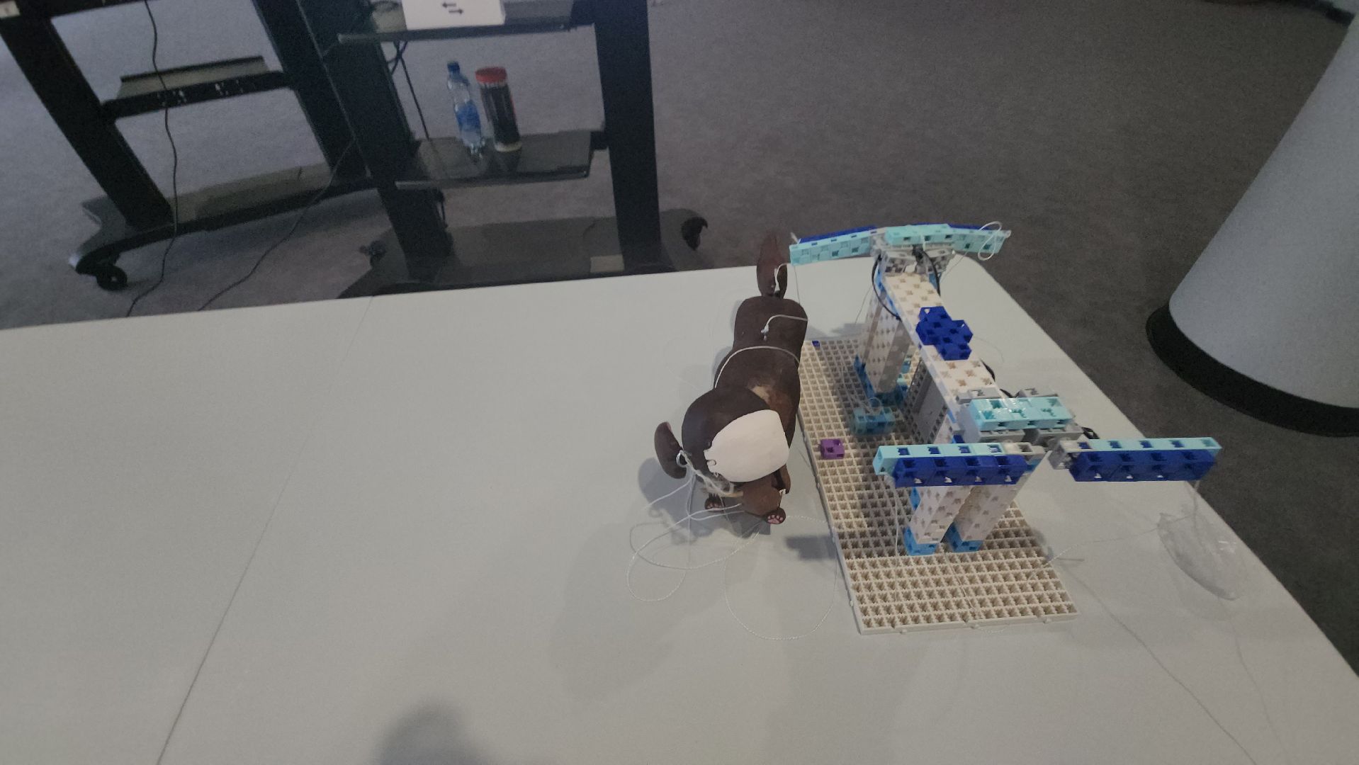 технопарк, долгопрудный, Здравствуй Россия, наука, школьники, креатив,экспаты,