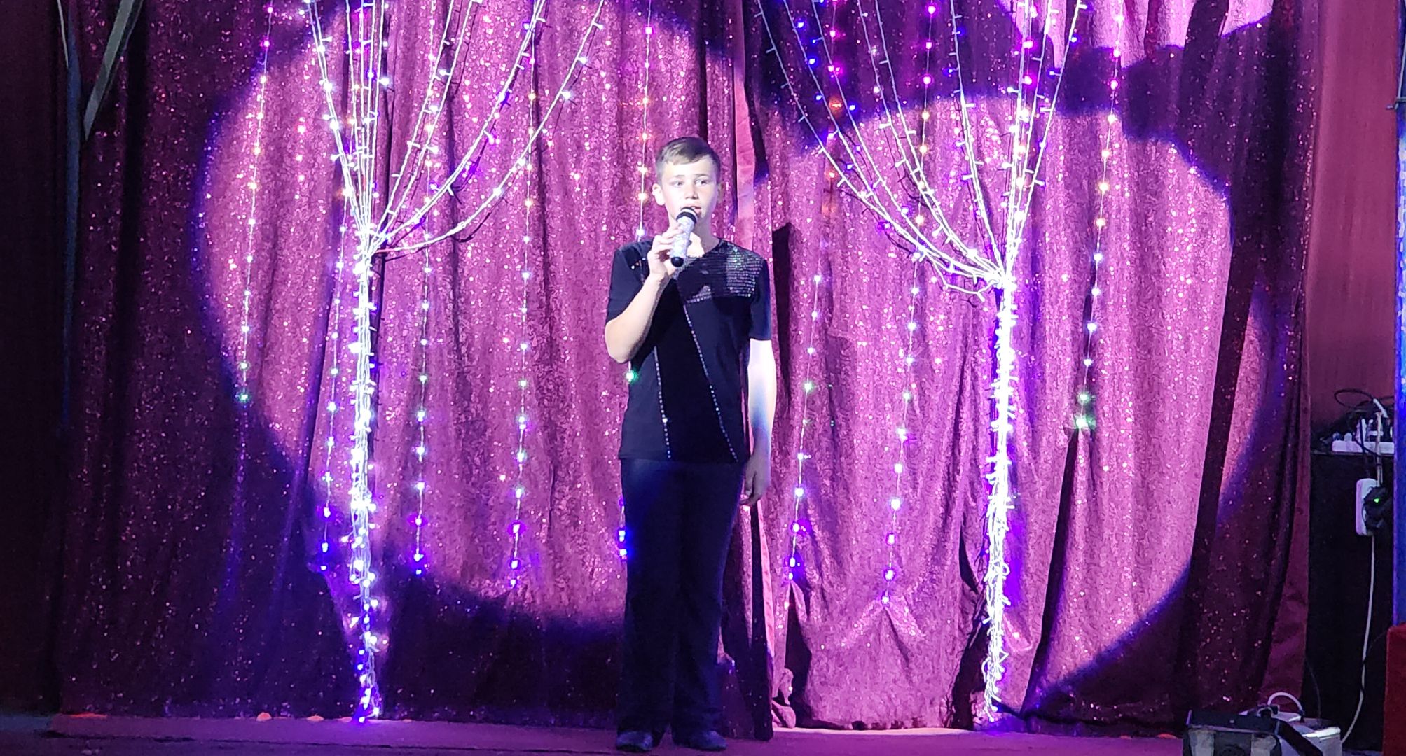 Звенигород, культура и туризм в подмосковье, цирковое искусство,