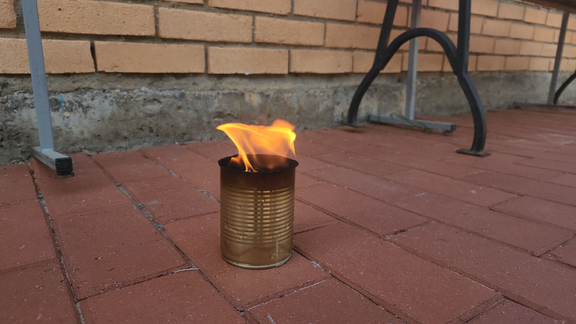 Павловский Посад, Городской округ Павловский Посад, Сво, Фестиваль, Парк, Жители,