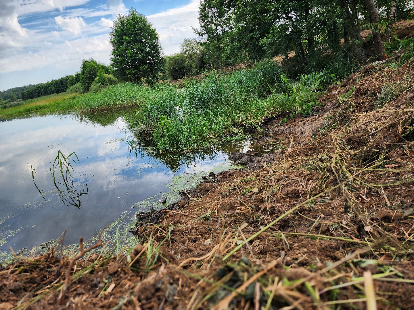 серпухов, деревня калугино, пруд, чистка водоема, экология,