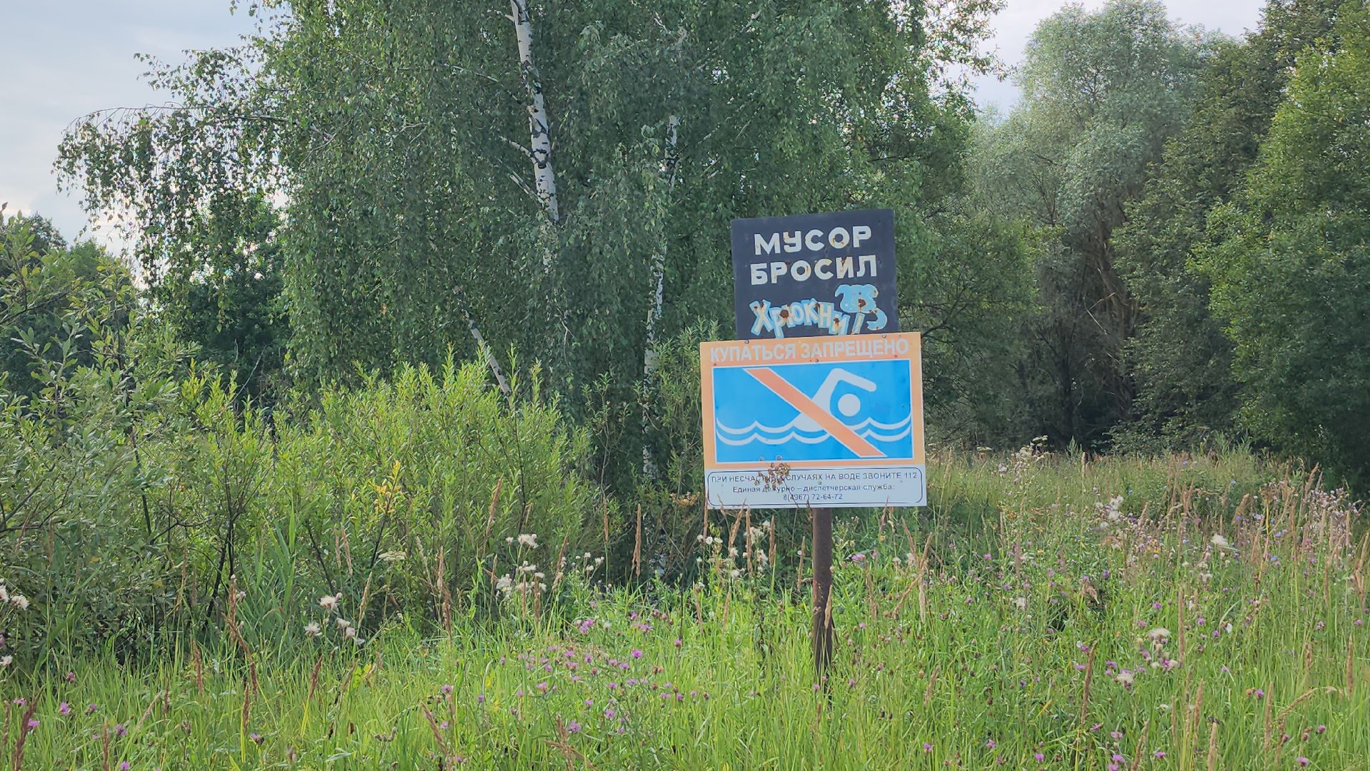 серпухов, деревня калугино, пруд, чистка водоема, экология,