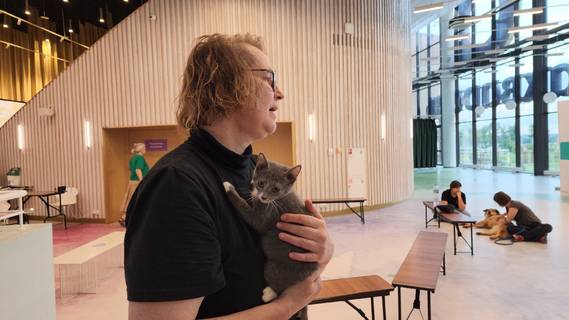 пушкино, благотворительная акция, пристройство, бездомные животные, волонтерство,