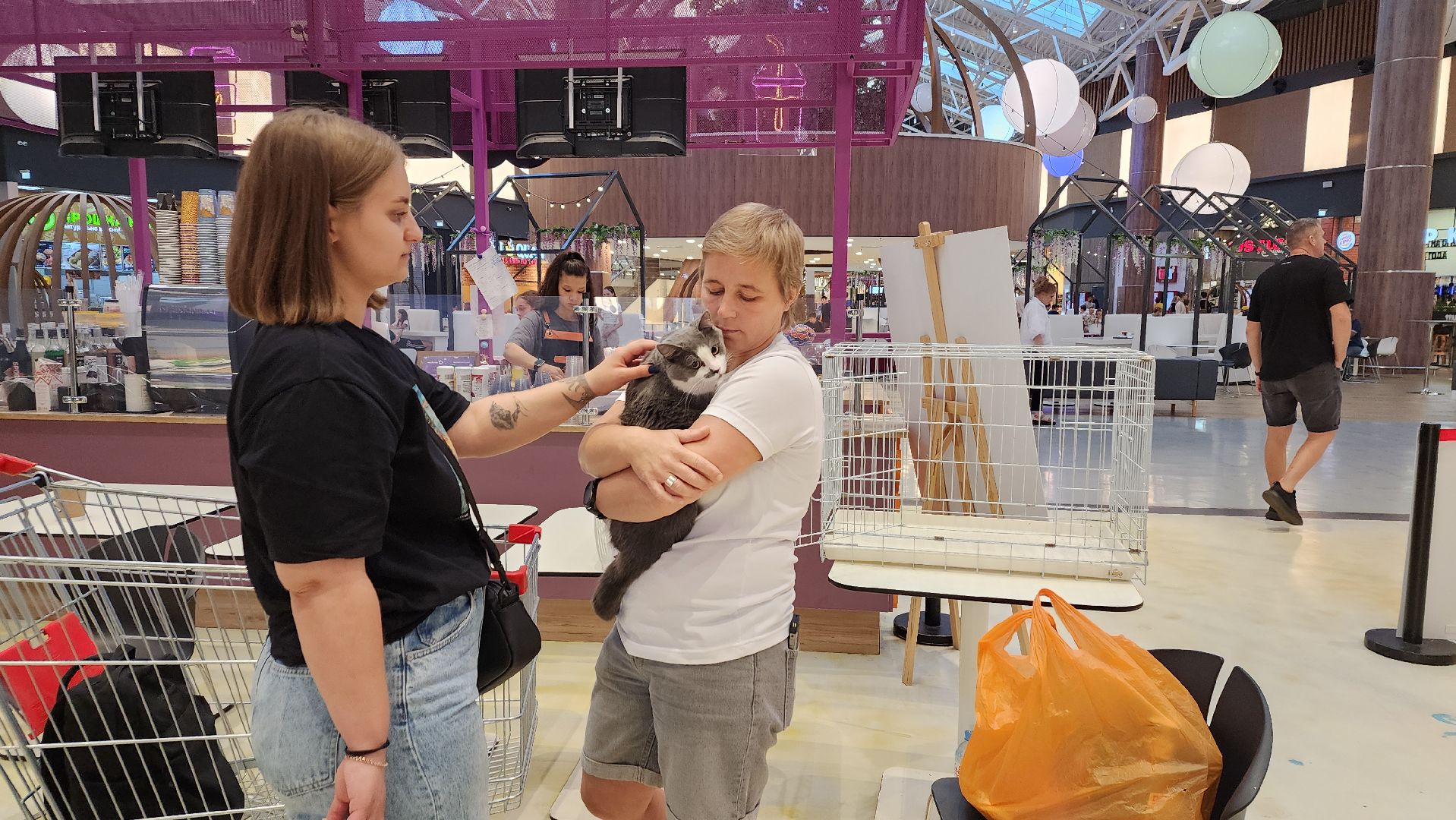 пушкино, благотворительная акция, пристройство, бездомные животные, волонтерство,