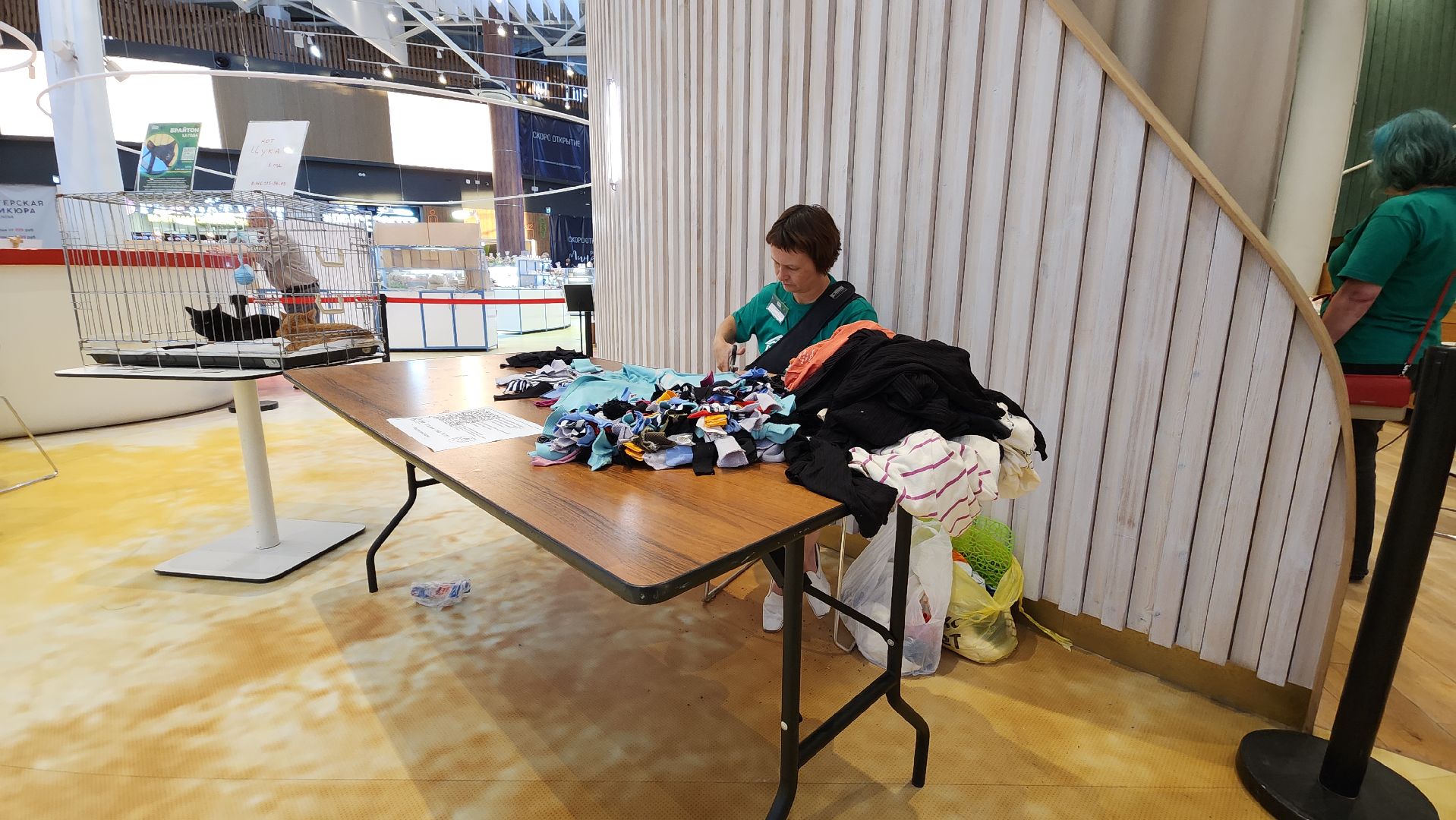 пушкино, благотворительная акция, пристройство, бездомные животные, волонтерство,