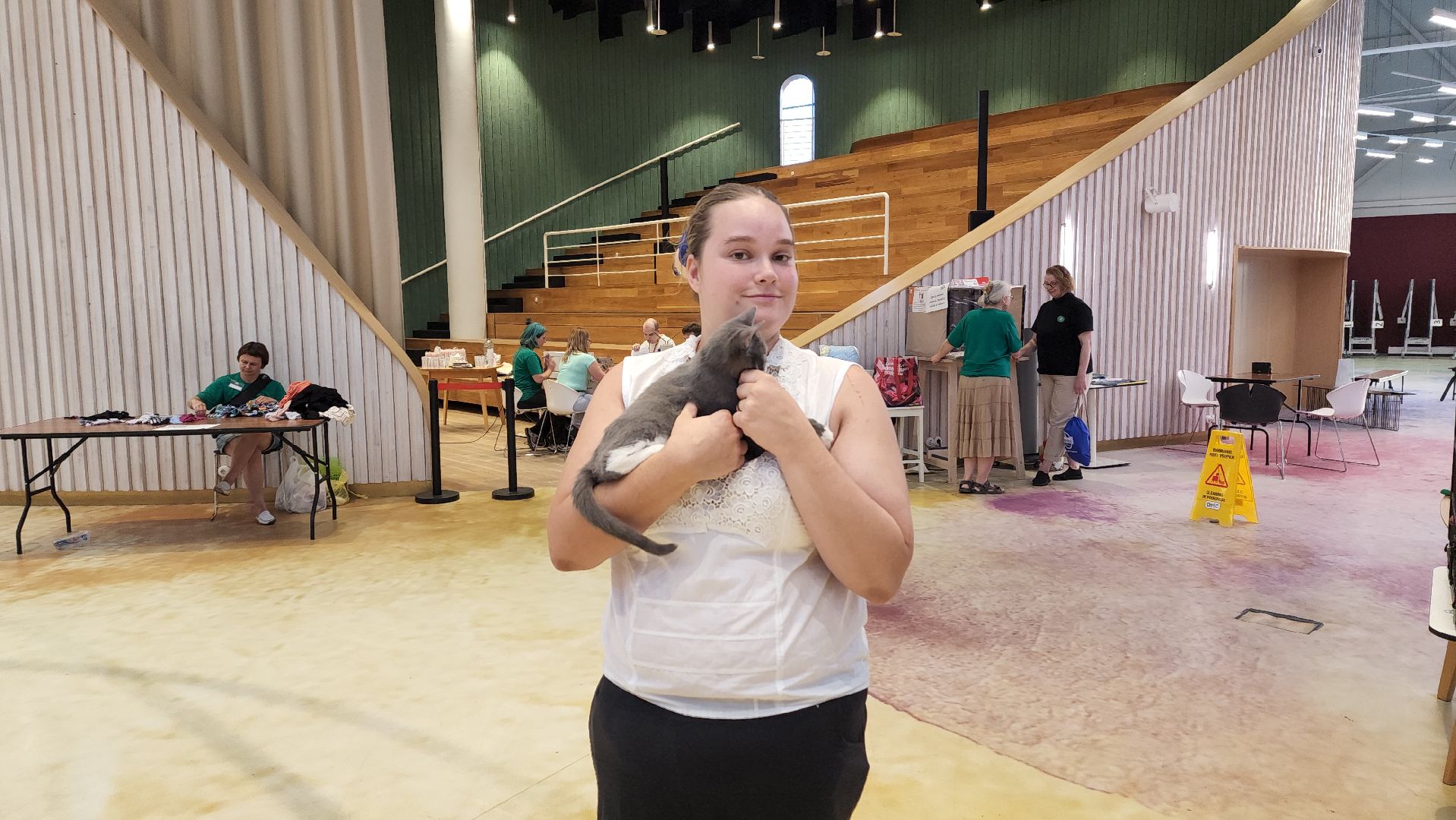 пушкино, благотворительная акция, пристройство, бездомные животные, волонтерство,